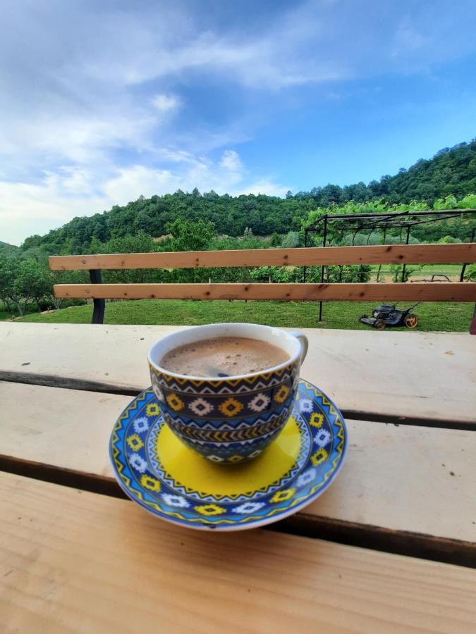 Kuca Za Odmor Ceif Villa Dropci Luaran gambar
